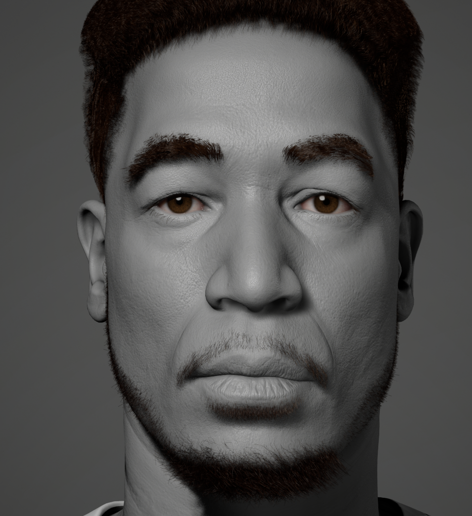 Retopology Optimization